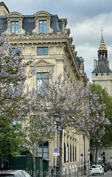 twink árabes onlyfans bonito arte galerías