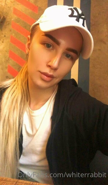 whiterrabbit estrella del arte galería