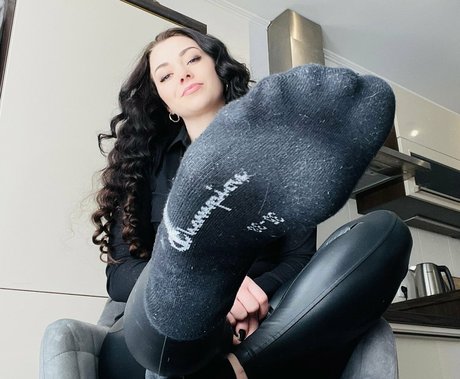 moneydomk estrella agradable recopilación