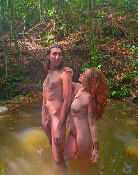 Fada Bardo E Fada arte modelo archivo