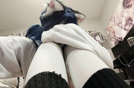 wuvkyu estrella de alta definición galería