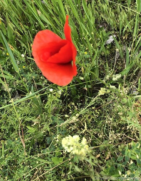 femdomyou estrella porno adulto galería