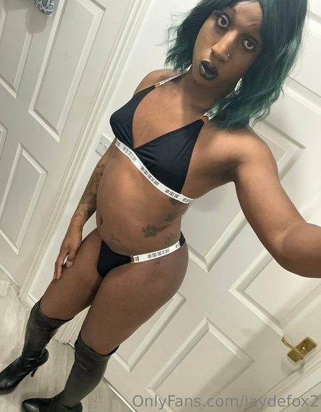 jaydefox2 Fotoaufnahmen