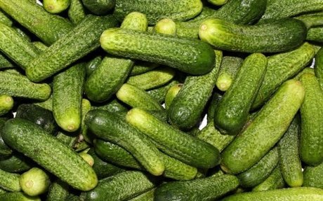 OnlyPickles estrella atractiva imagen