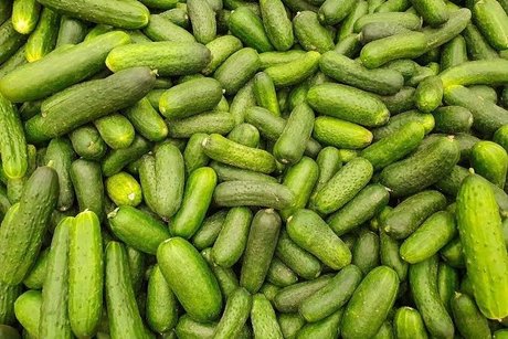 OnlyPickles actriz atractiva imágenes
