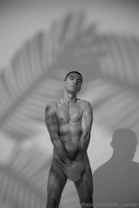 Alek Sandar hermosa estrella porno archivo