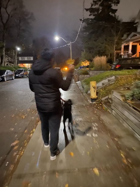 adegod modelo archivo