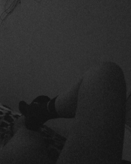 Paola molina_ estrella agradable galería