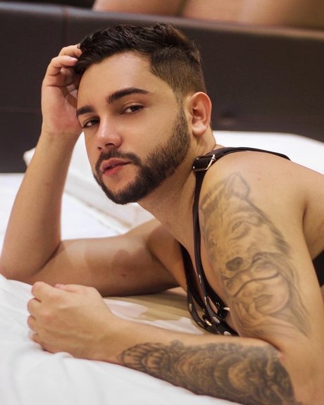 Peter Ribeiro estrella superior recopilación