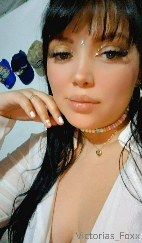 bu1terfly hermosa estrella galería