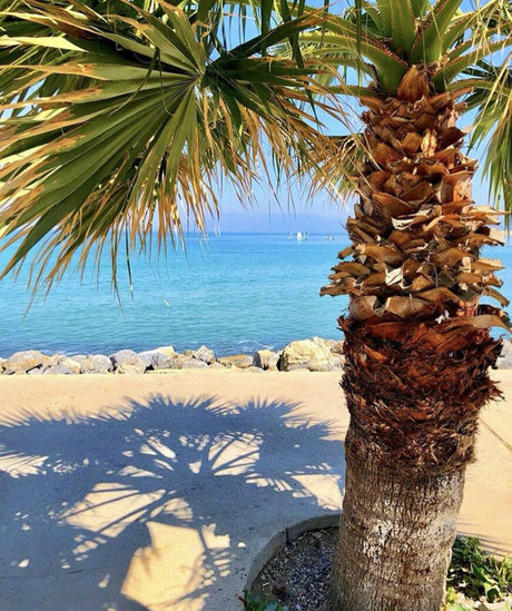 tylerwisby mejor estrella porno galería