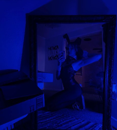 gray estrella archivo