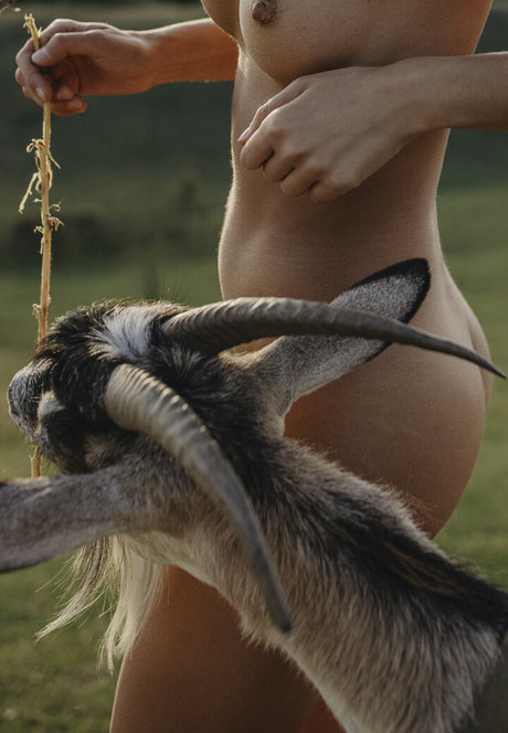 Julia Slip estrella erótica recopilación