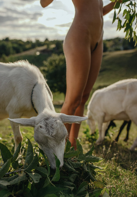 Julia Slip modelo bonita galerías