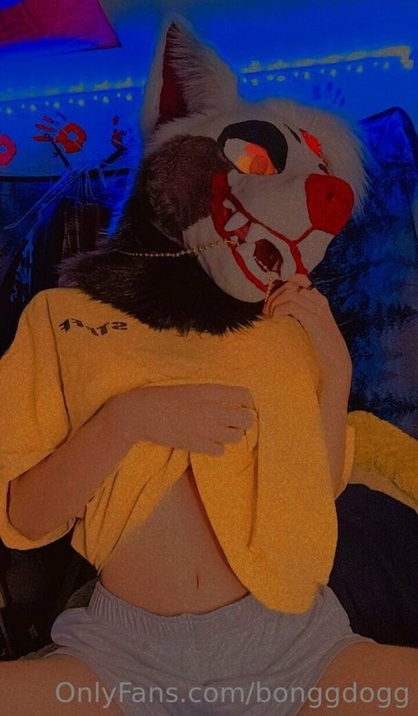 Bonggdogg estrella porno atractiva fotos