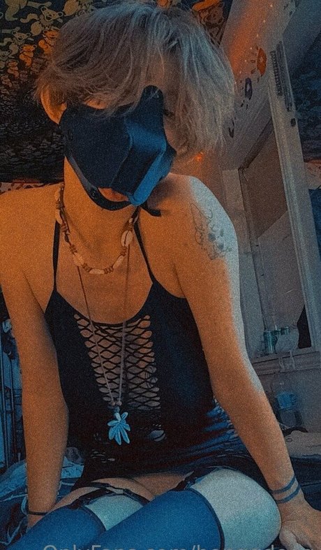 Bonggdogg Profilfoto