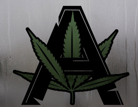 ClubArrogance buen modelo recopilación