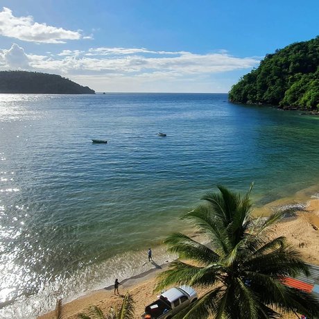 That Crypto Fella actriz libre fotos