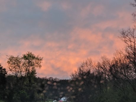 cait cute arte estrella porno archivo