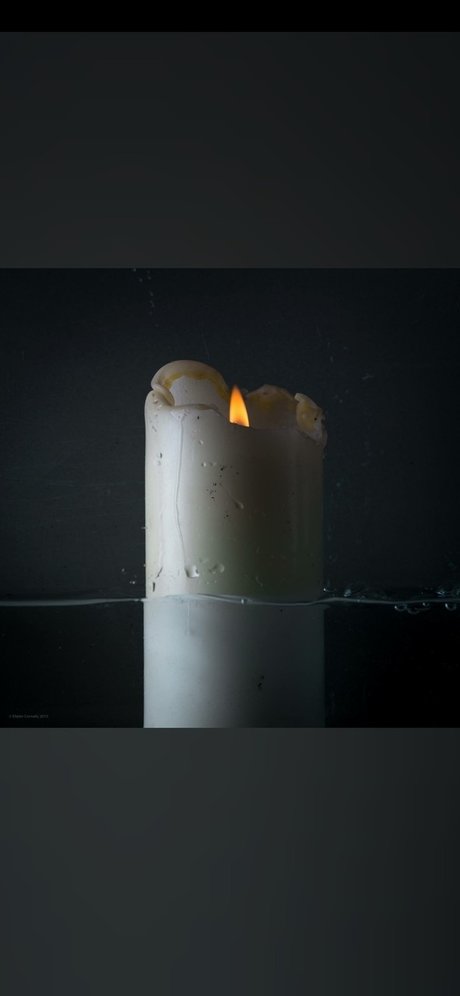 Call me Daisy desnudos de estrellas porno fotos