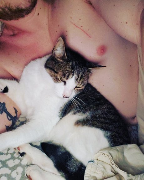 Donnie Bunz estrella porno atractiva recopilación