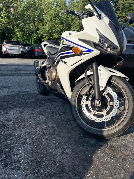 Anthony Pappalardo estrella porno en alta definición galería