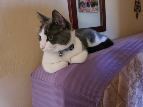 EdenEspi estrella porno mejor archivo