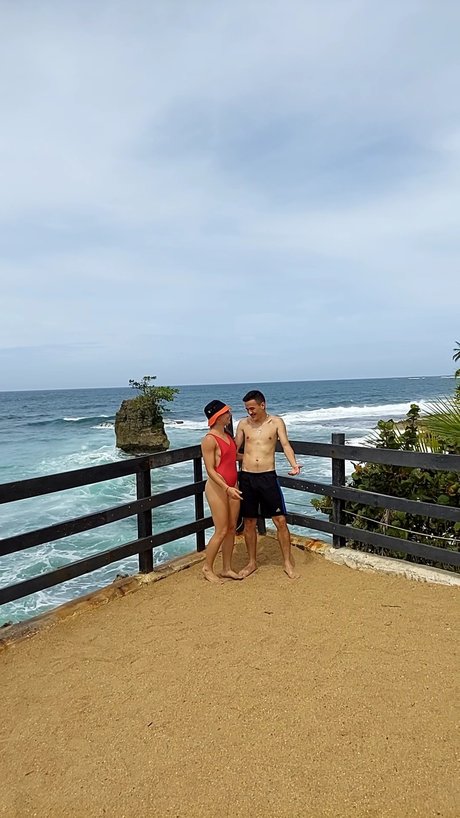 R amp ampJ The Rabbits estrella atractiva galería