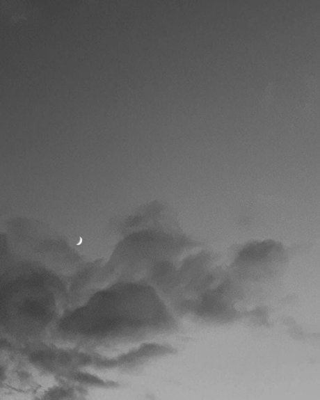 Andre Nikolai xxx estrella porno fotos