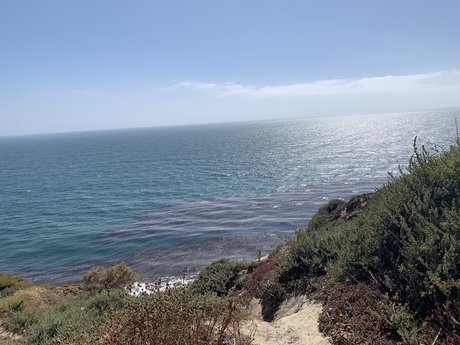 Ian Rios actriz libre imágenes