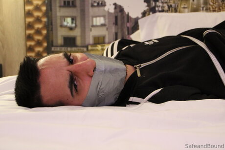 Safe and Bound estrella perfecta fotos