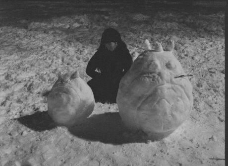 Vanniall hermosa estrella galerías