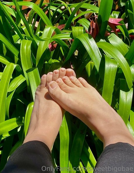 sweetbigobae modelo de alta calidad galería