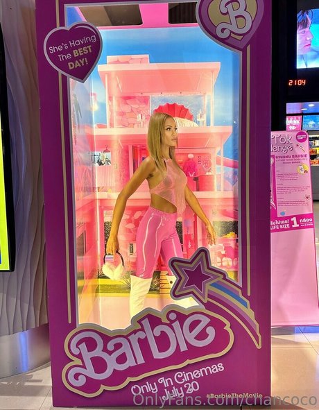 chancoco modelo de alta calidad imágenes