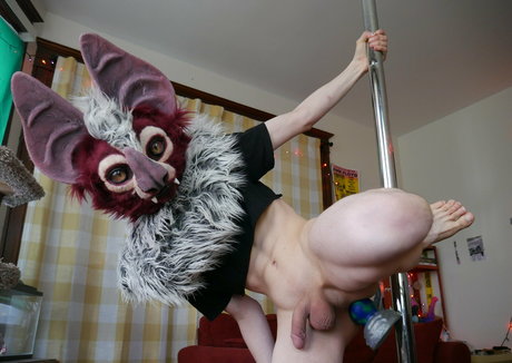 noodlybat linda estrella foto