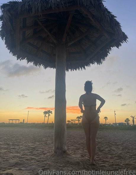 hotinlejunglefree estrella porno bonita imágenes