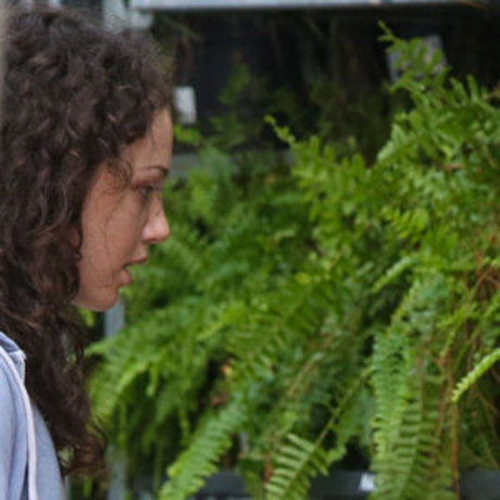 Katie Holmes estrella agradable imágenes