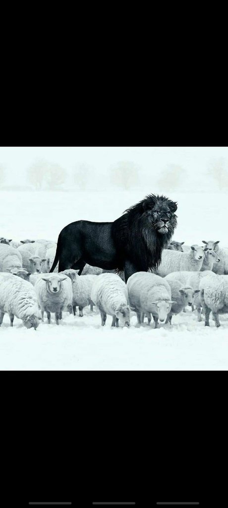 Sam Reese hermosa estrella porno imagen