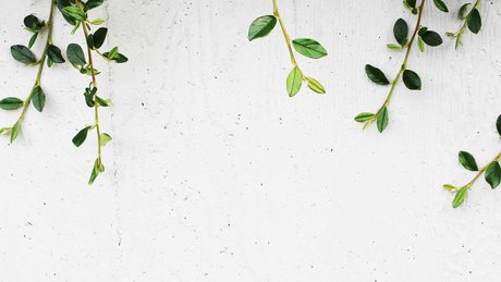 xGetDead modelo desnudo fotos