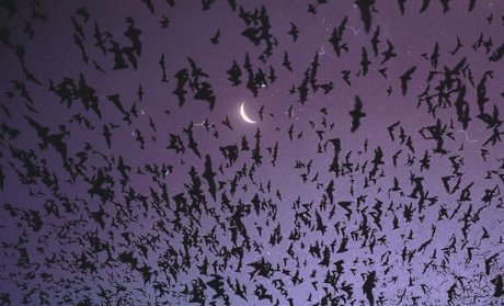 _kitty_ estrella porno foto