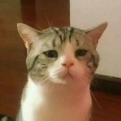 Yatara modelo libre archivo