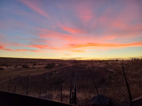 Sugar Cookie actriz porno fotos