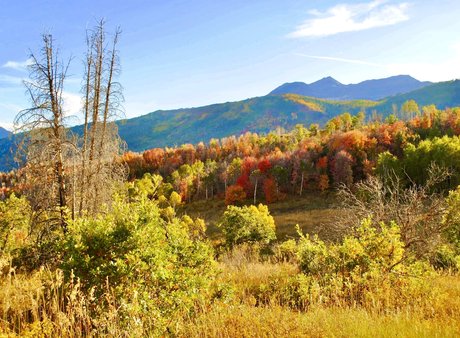 naveltrailblazer3 buena actriz archivo