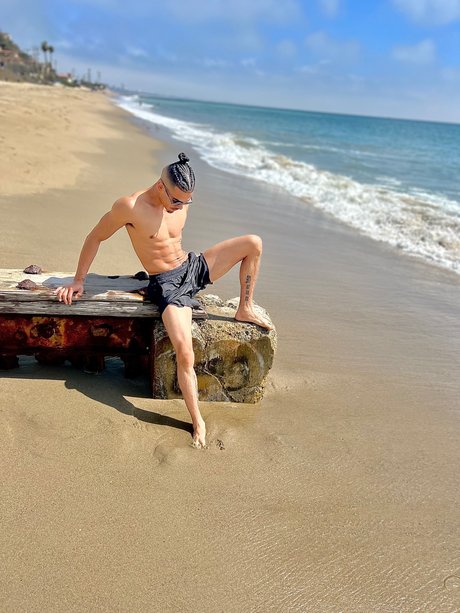 Luis Omar Morales estrella porno perfecta galerías