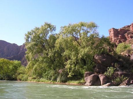 u3091749 actriz de desnudos imagen