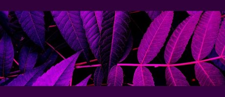 Soda Ghoul desnudos estrella porno imagen