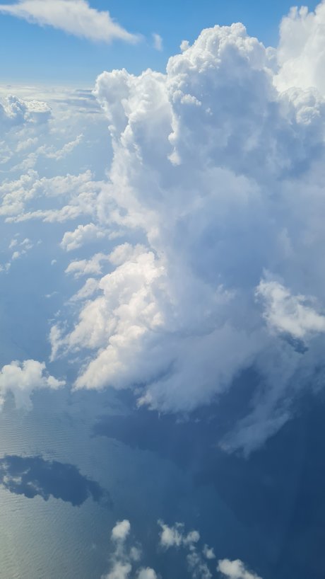 Ishac modelo adulto archivo