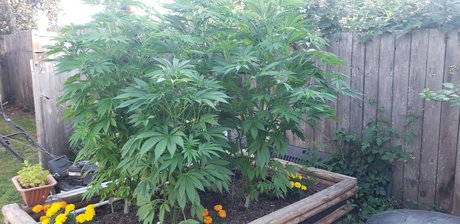 fisting anal onlyfans perfecto sexy archivo