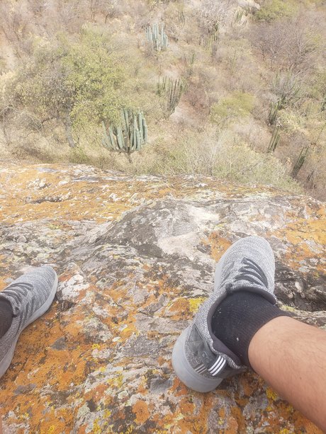 Foot Guy estrella agradable galería