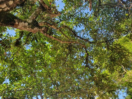 Gabriela Lima actriz adulta foto